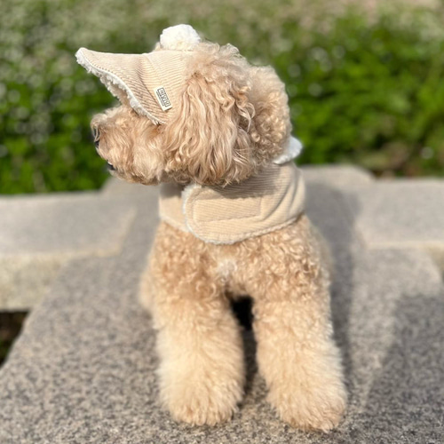 ♠[개달당] 뽀글이 강아지선캡 겨울 모자 3Colors