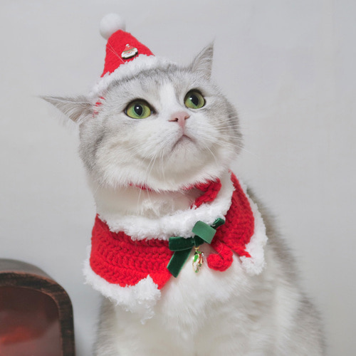♠[개달당]강아지 고양이 크리스마스 스노우 산타 모자 케이프 2종SET