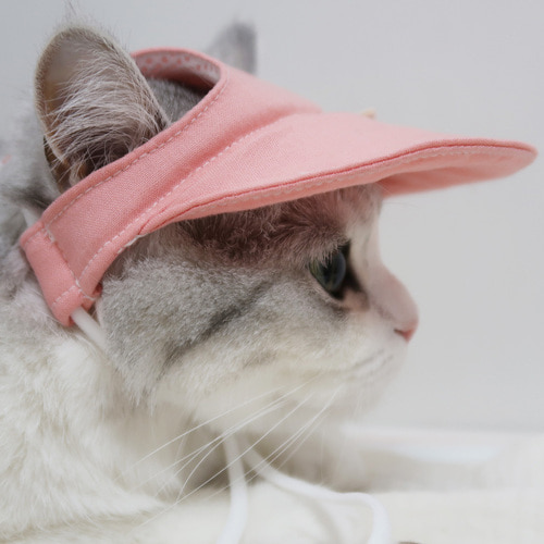 ♠[개달당] 와츄원 컬러 고양이 강아지 선캡 모자 5colors