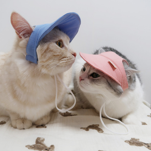 ♠[개달당] 와츄원 컬러 고양이 강아지 선캡 모자 5colors