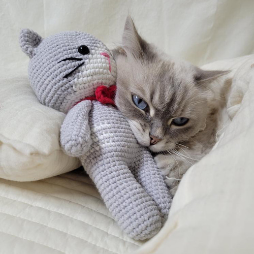♠[개달당] 회색 고양이 애착인형 고양이장난감 뜨개인형 먼치킨 랙돌 러시안블루