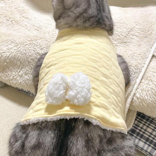 ♠[개달당]고양이 옷 보송이 무형광 수면조끼 2colors