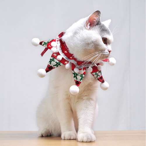 ♠[도그웨그] 스타폼폼 스카프 고양이 크리스마스 케이프