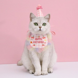 ♠[도그웨그] 생일 꼬깔 모자 케이프 세트 강아지 고양이 생일파티 악세사리 [오프라인전용]